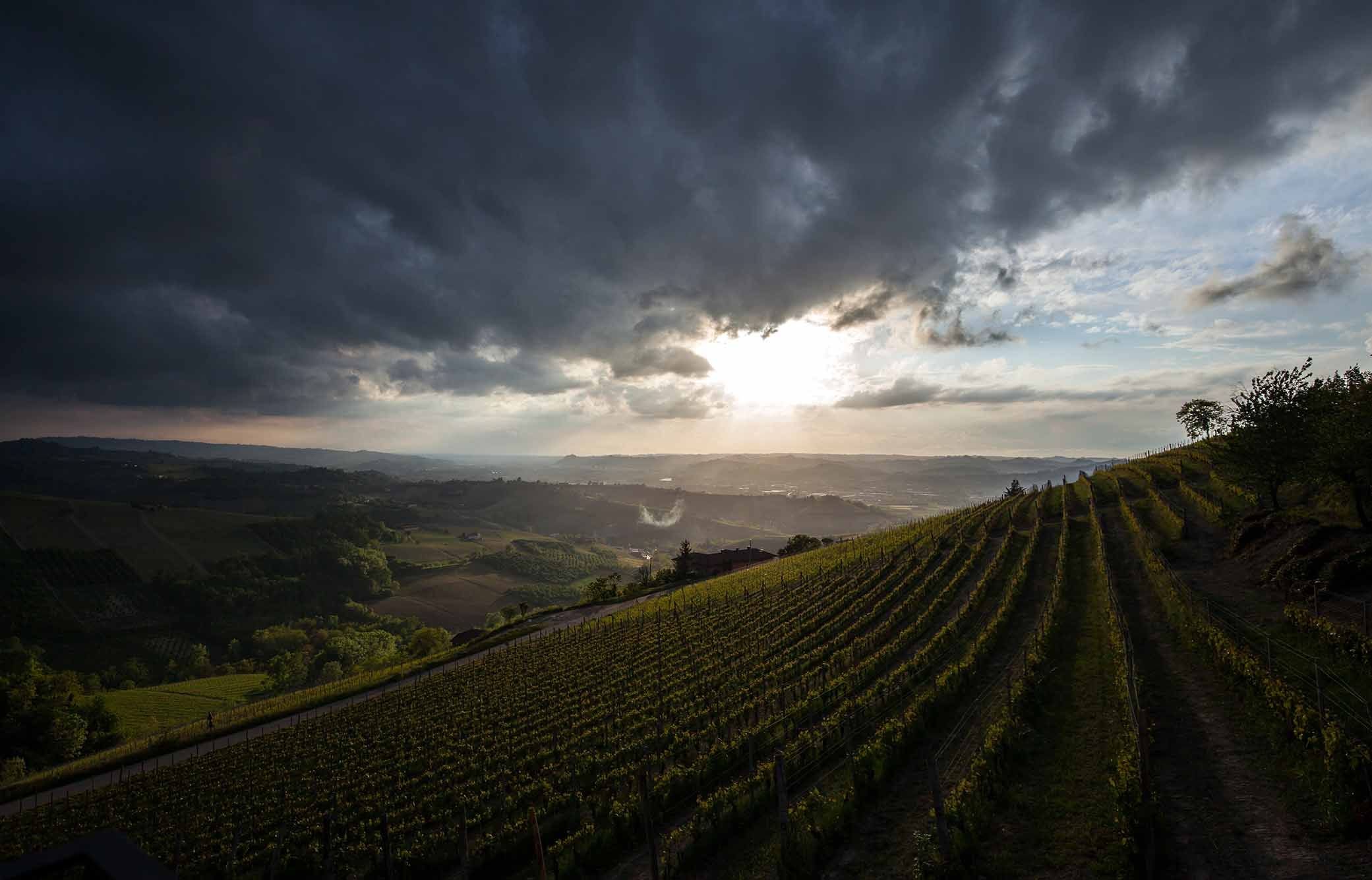 agritourism-dai-gresy_piedmont_good-trips_italian-vineyards.jpg