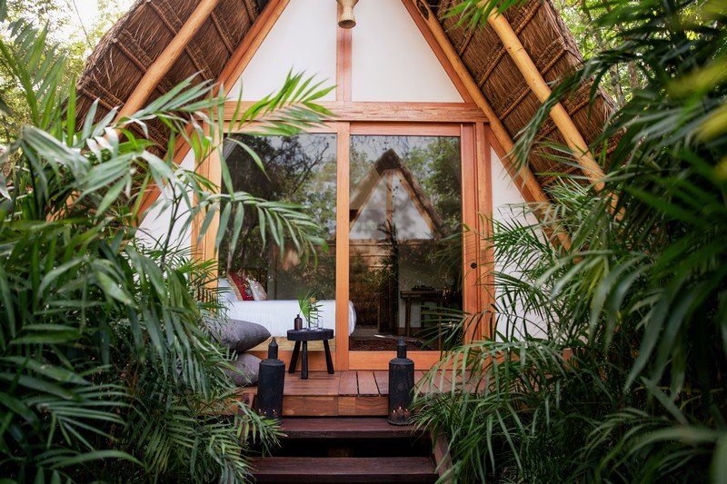 Palapa guest house surrounded by lush foliage