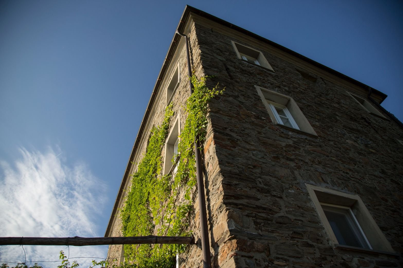 Good-Trips_FF6B1239adelmo massola.jpg