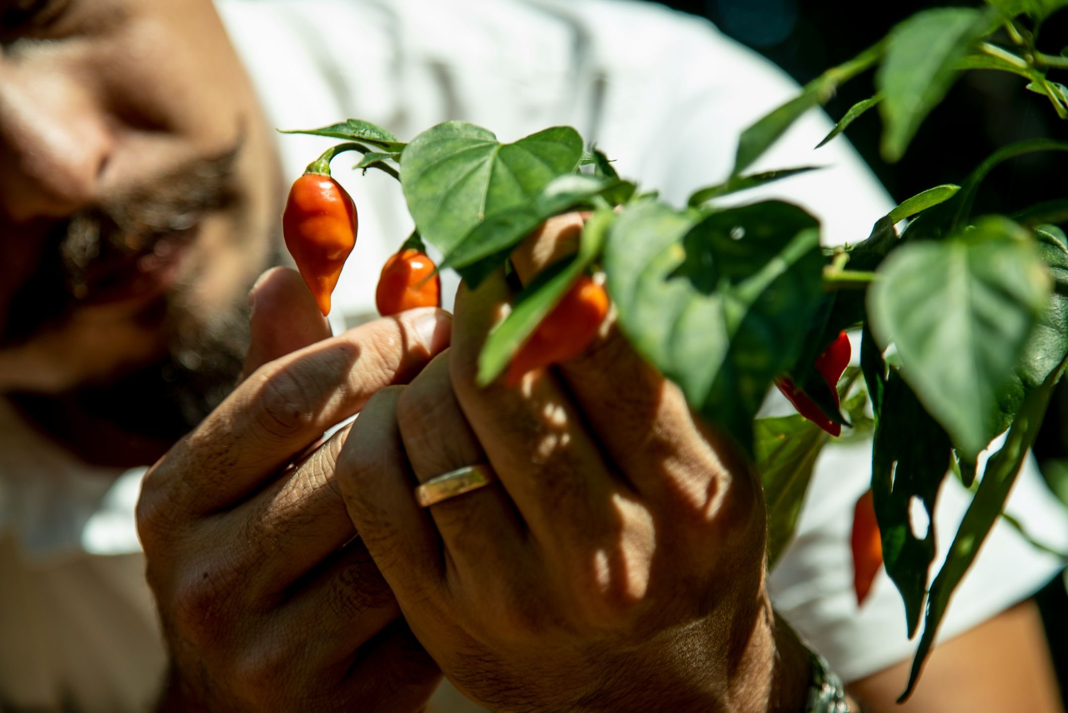 Isla Palenque-Culinary-1Good-Trips_.jpg