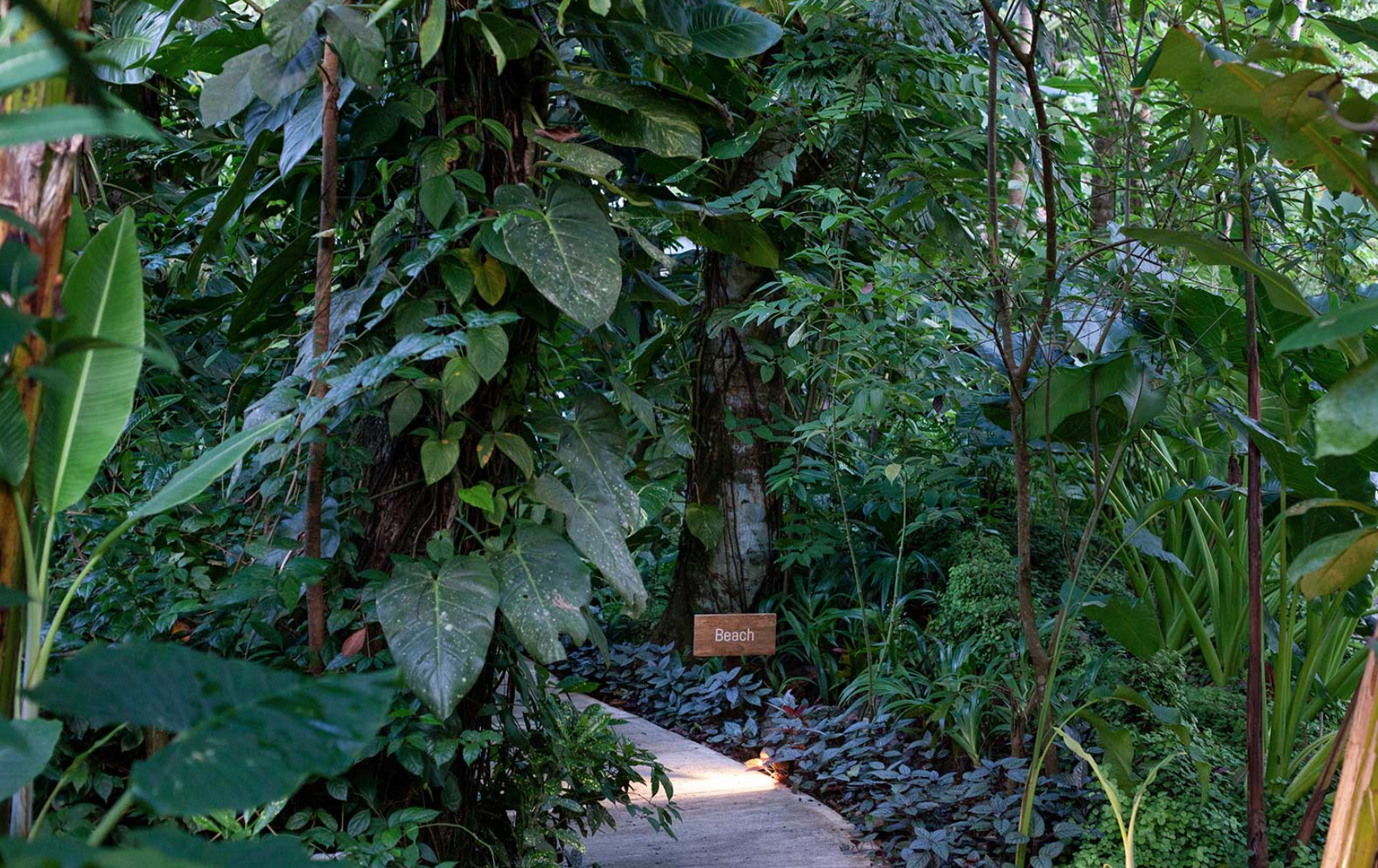 Aguas-claras_good-trips-travel36.09 AM.png